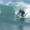 surfing the noserider